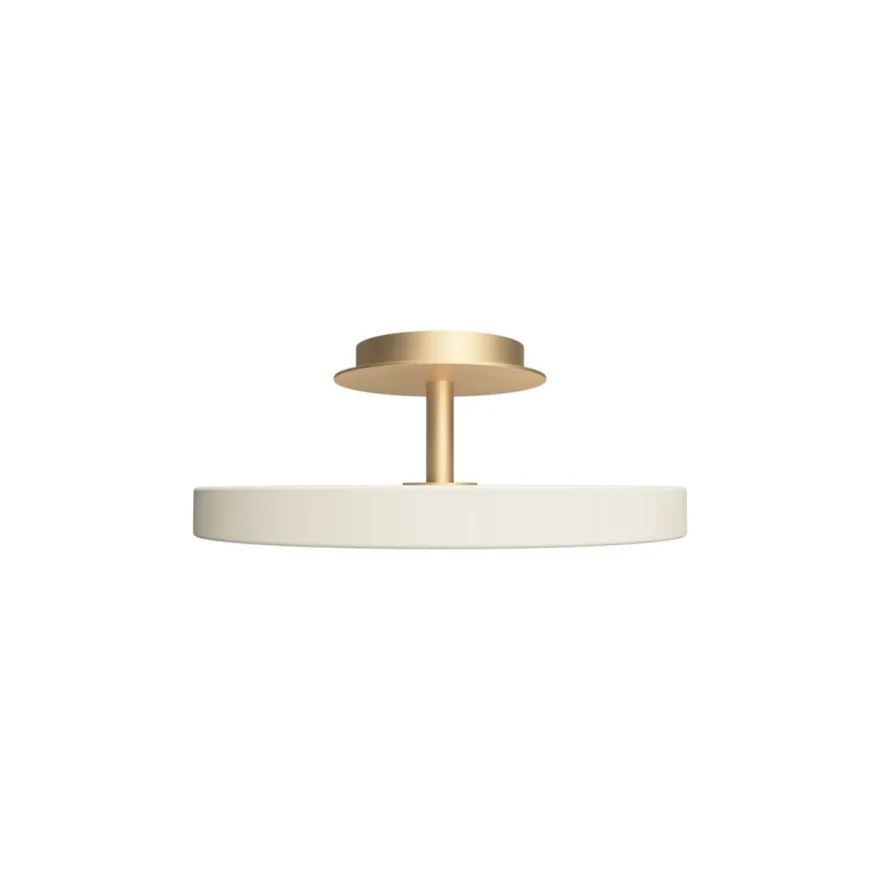 Asteria Plus medium