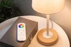 Fjernkontroll Gent 2 - Zigbee 3.0
