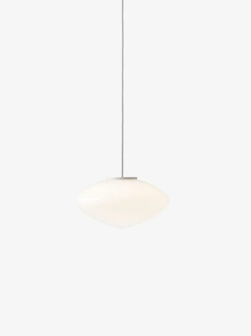 Mist takpendel AP15