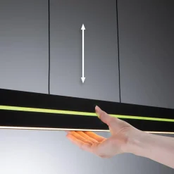 Raiko takpendel 19/6W 2700-6500 Kelvin RGB med fjernkontroll